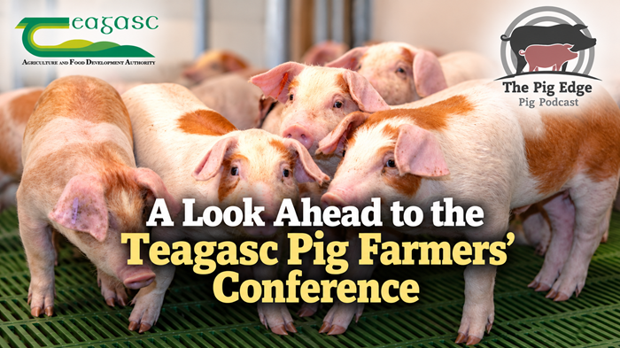 A look ahead to the Teagasc Pig Farmers’ Conference