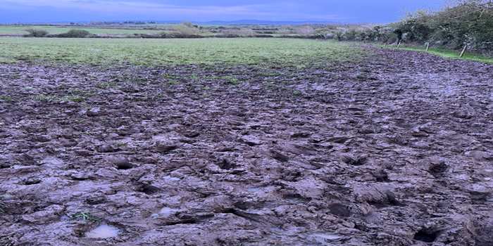 Another disastrous spring