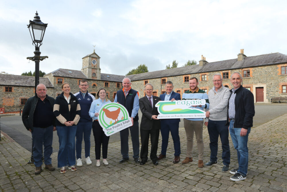 New Teagasc podcast for poultry producers