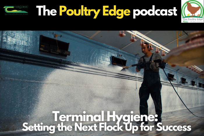 Terminal hygiene: Setting the next flock up for success