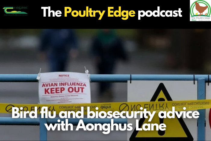 Bird flu and biosecurity advice with Aonghus Lane