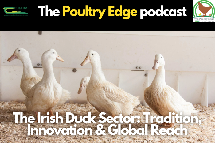 The Irish duck sector: Tradition, innovation and global reach