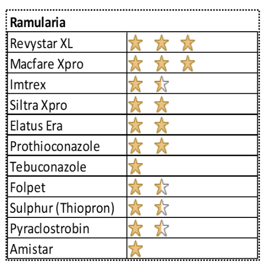 Revystar XL - 3 stars Macfare Xpro - 3 stars Imtrex - 1.5 stars Siltra Xpro - 2 stars Elatus Era - 2 stars Prothioconazole - 2 stars Tebuconazole - 1 star Folpet - 1.5 stars Sulphur (thiopron) - 1.5 stars Pyraclostrobin - 1.5 stars Amistar - 1 star