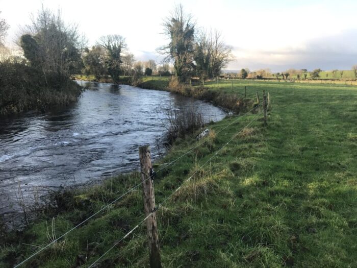 Reviving Mayo’s Riverbanks