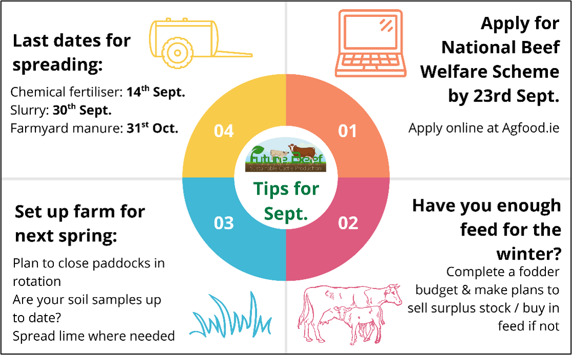 Top tips for September: Apply for NBWS by 23rd Sept, have you enough fodder for the winter? Complete fodder budget, buy feed and/or sell stock if necessary, set grass up for spring: close paddocks in rotation, spread lime & take soil samples, closing dates for spreading chemical and organic manures