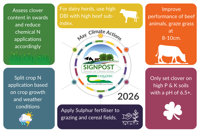 Assess clover content in swards and reduce chemical nitrogen (N) applications accordingly. Split crop N application based on crop growth and weather conditions. For dairy herds, use high Dairy Beef Index (DBI) sires with a high beef sub-index. Improve performance of beef animals, graze grass at 8-10cm. Only set clover on high phosphorus (P) and potassium (K) soils with a pH of 6.5+. Apply sulphur fertiliser to grazing and cereal fields.