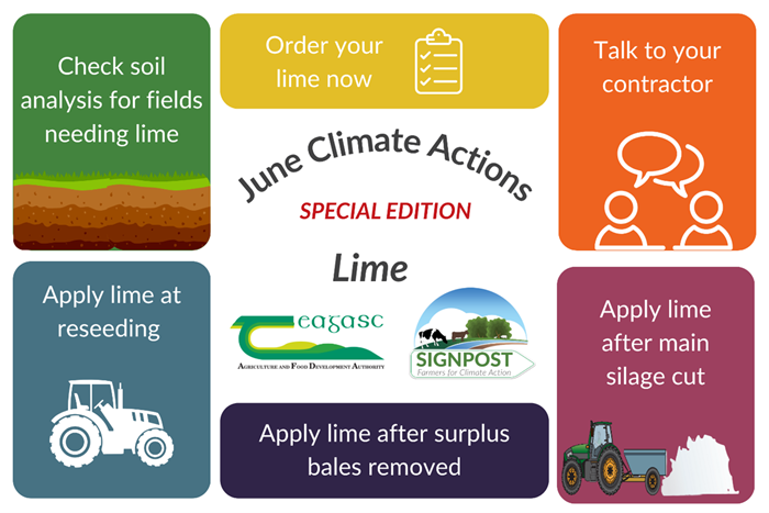 A graphic featuring the text: 1) Check your soil analysis and identify the fields that need lime. 2) Order your lime now to be ready for the season ahead. 3) Talk to your contractor early to plan lime application. 4) Apply lime when reseeding to improve soil fertility and grass growth. 5) Apply lime after the main silage cut to maximise nutrient availability. 6) Apply lime after surplus bales are removed to make the most of every opportunity. 