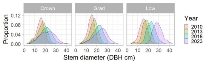 A graph showing the variations in stem diameter by thinning intervention over the years 2010-2023
