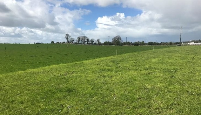 Grassland management: The final phase of closing