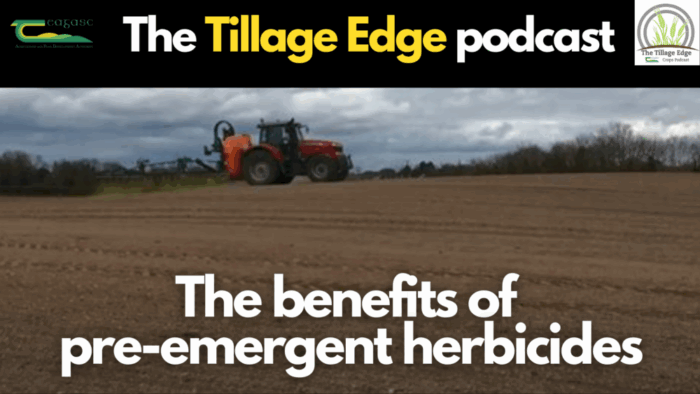 Tillage Edge: The benefits of pre-emergent herbicides
