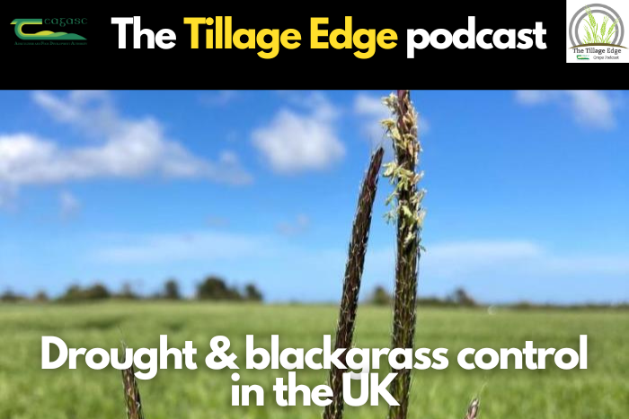 Cover image for Report from the UK on the drought and blackgrass control article