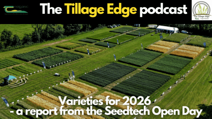 Varieties for 2026 – a report from the Seedtech Open Day