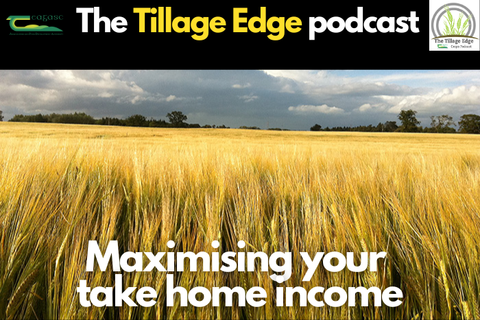 Tillage Edge: Maximising your take home income