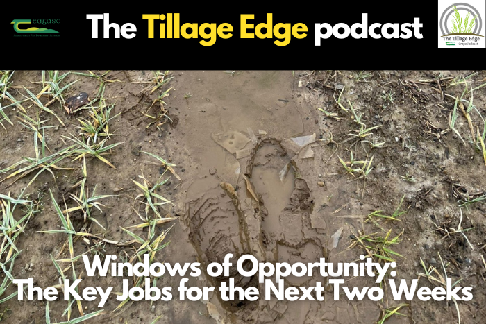 Cover image for Windows of opportunity: The key jobs for the next two weeks article
