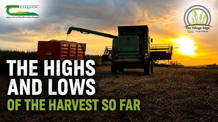 Cover image for The highs and lows of the harvest so far article