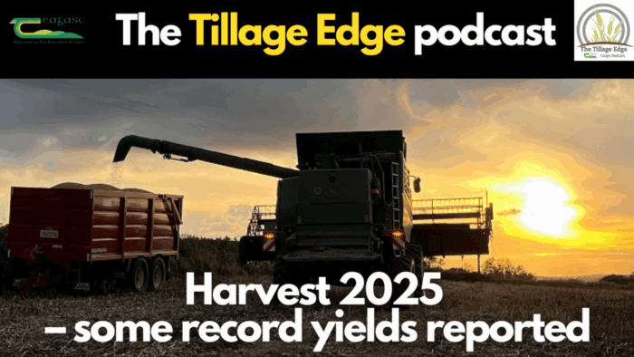 Harvest 2025 – some record yields reported