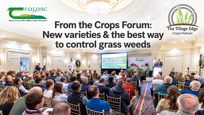 From the Crops Forum: New varieties and the best way to control grass weeds