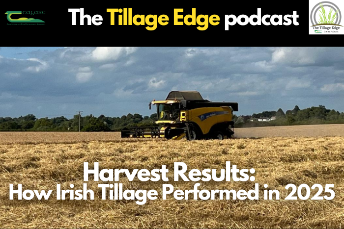 Harvest results: How Irish tillage performed in 2025