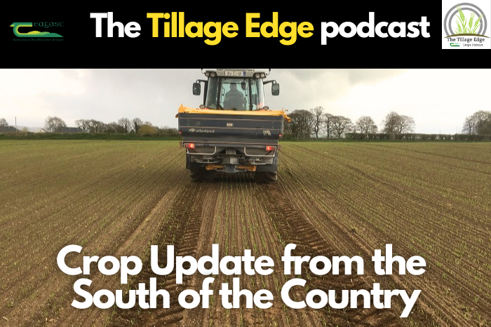 Crop update from the south of the country
