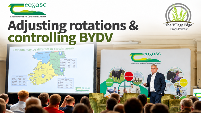 From the Crops Forum Part 2: Adjusting rotations and controlling BYDV