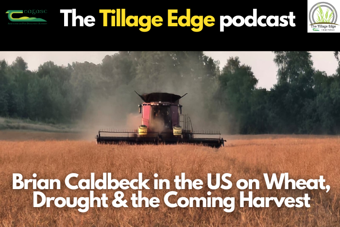 Brian Caldbeck in the US on wheat, drought and the coming harvest