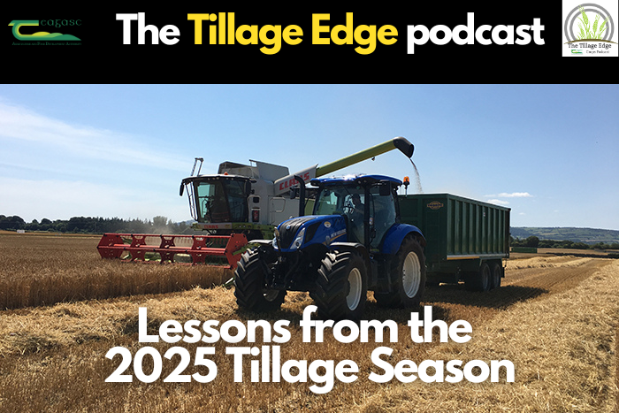 Cover image for Lessons from the 2025 tillage season article