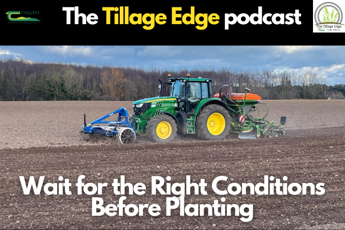 Wait for the right conditions before planting