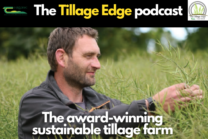 Tillage Edge: The award-winning sustainable tillage farm