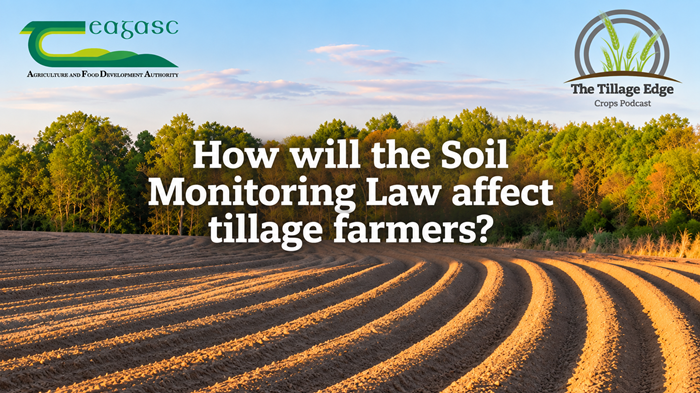 Cover image for How will the Soil Monitoring Law affect tillage farmers? article