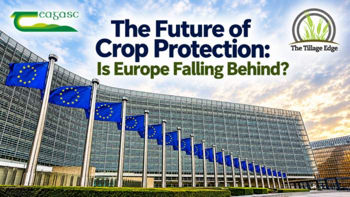 EU chemical legislation poses challenges for farmers
