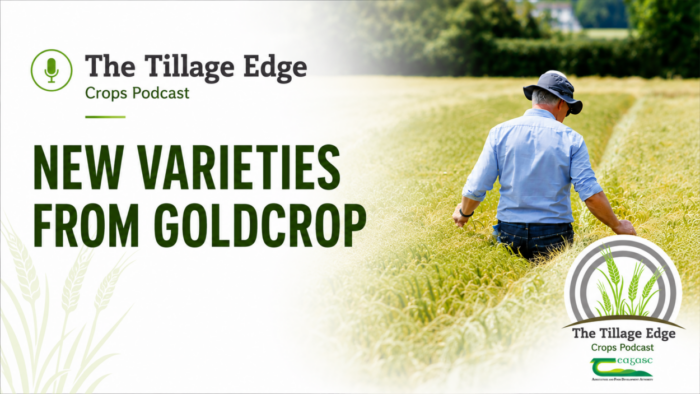 Cover image for New varieties from Goldcrop article