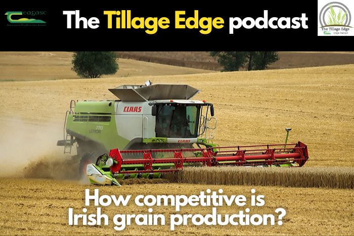 How competitive is Irish grain production?