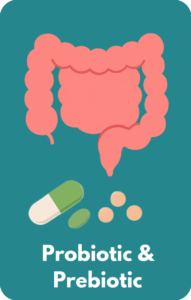 An image of a gut, with prebiotics and probiotics medications in a form of an oral intake underneath.