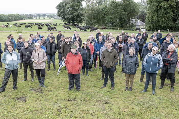 Practical farmer actions to protect water quality showcased at Blackwater Catchment Farm Walk