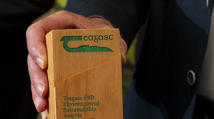 Cover image for Meet the finalists in the Teagasc FBD Environmental Sustainability Awards 2026 article