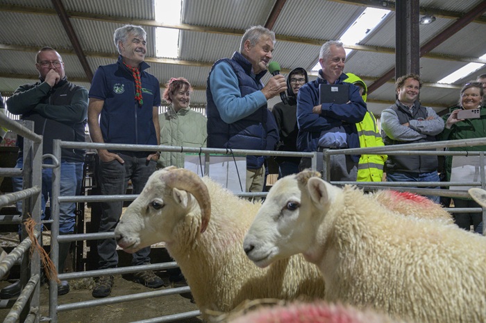 Cover image for Organic lamb finishing event draws crowds in Mayo article