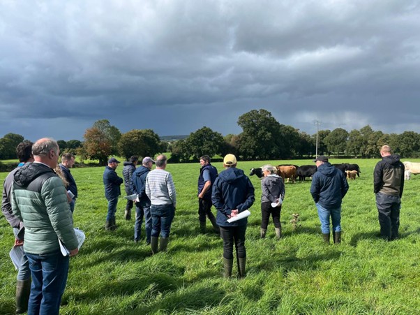 Teagasc South East Beef Advisors on Jimmy Madigan's farm in September 2025