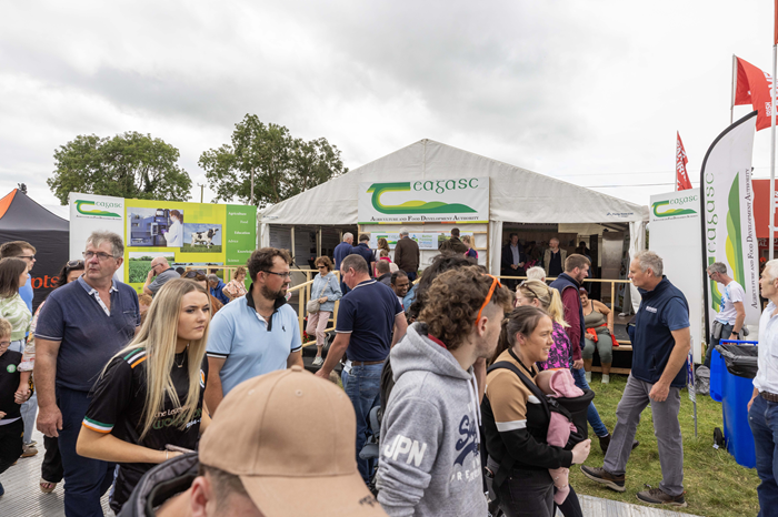 Cover image for Teagasc at the Tullamore Show article