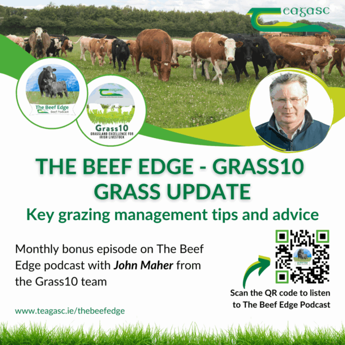 John Maher’s Monthly Grass Management Tips for beef farms