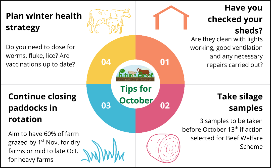 Top tips for October - check housing for ventilation and repairs, test silage, close paddocks in rotation to have 60% closed by 1st November and plan winter housing strategy for dosing and vaccines