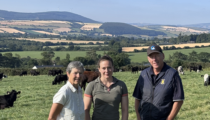 Farm succession to be showcased at Wicklow farm walk