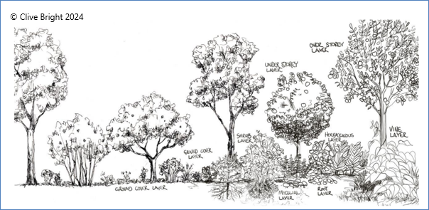 Agroforestry – the forest garden option