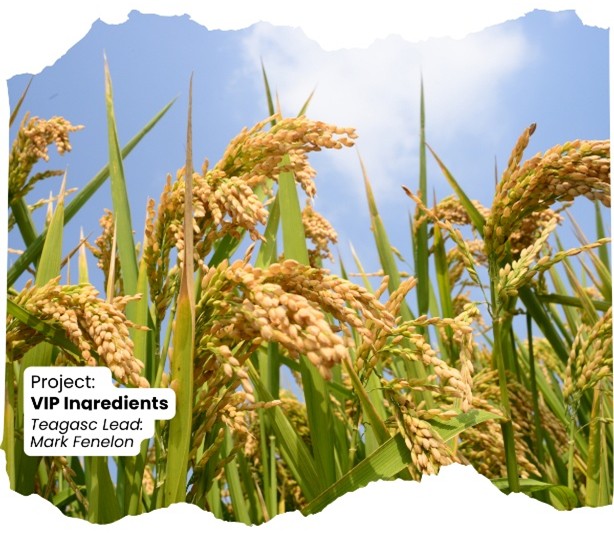 Overlaid text stating: Project VIP Ingredients Mark Fenelon on an image of cereals