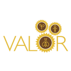 A logo for the Valor Programme