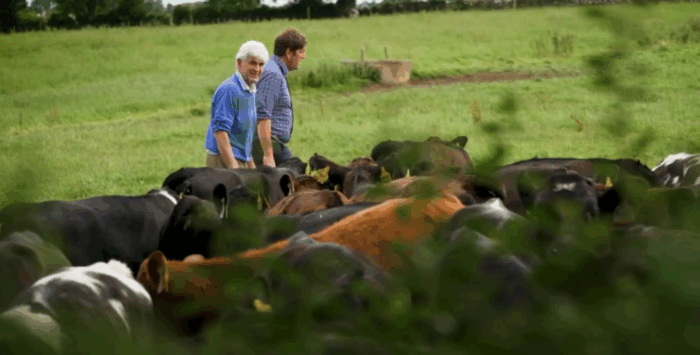 The out block that started it all