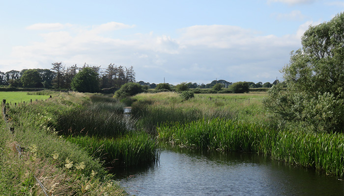 Farmer commitment and actions on water quality recognised