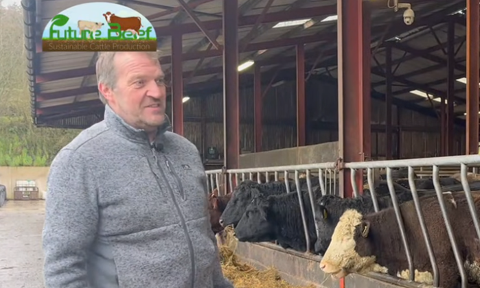 Future Beef update: Inside Wesley Browne’s calving setup