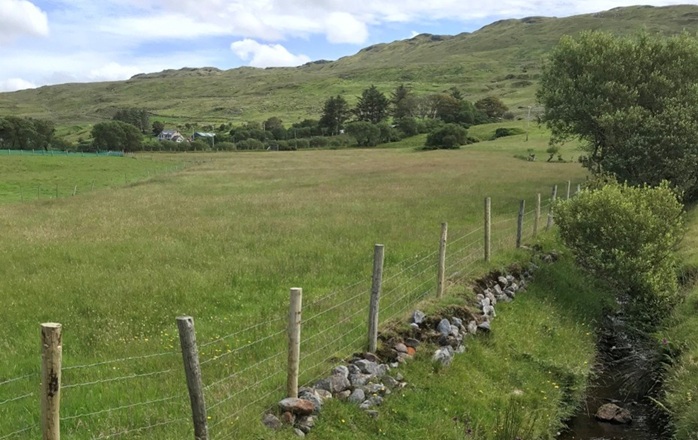 A grassland paddock adjoining a water course