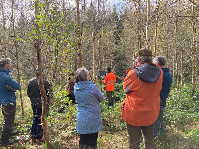 A group visiting a strand of improved birch on private lands as part of the ongoing Teagasc research
