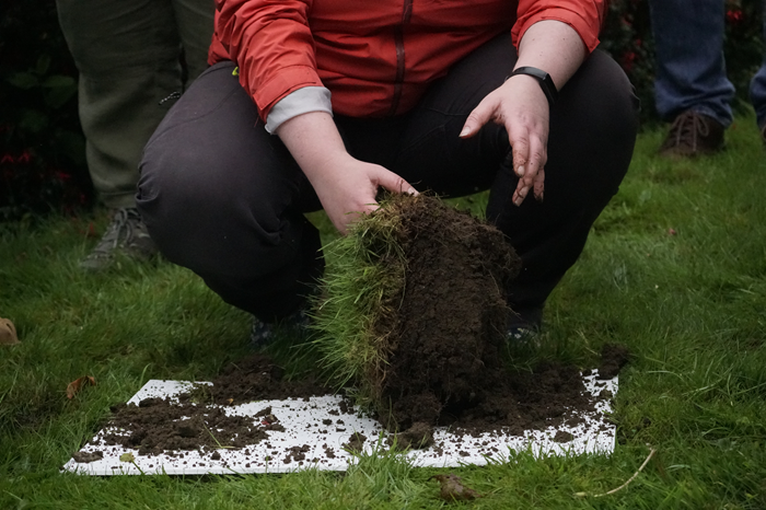 Cover image for Soil Health Week: Managing Soils in the Right Way article